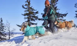 Hurtta Monsoon Coat II ECO koirantakki, 60-70 cm, Peacock