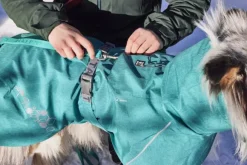 Hurtta Monsoon Coat II ECO koirantakki, 80 cm, Peacock