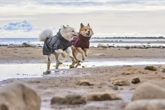 Hurtta Rainwear Mudventure Coat ECO sadetakki, 25-35 cm, Eggplant