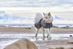 Hurtta Rainwear Mudventure Coat ECO sadetakki, 25-35 cm, Eggplant