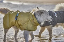 Hurtta Rainwear Mudventure Reflective Coat sadetakki, 25-35 cm, Turmeric