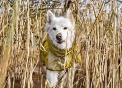 Hurtta Rainwear Mudventure Reflective Coat sadetakki, 25-35 cm, Turmeric