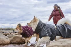 Hurtta Rainwear Mudventure Coat ECO sadetakki, 25-35 cm, Blackberry