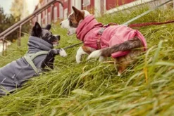 Hurtta Razzle Dazzle Midlayer koiran takki, 45-65 cm, pinkki