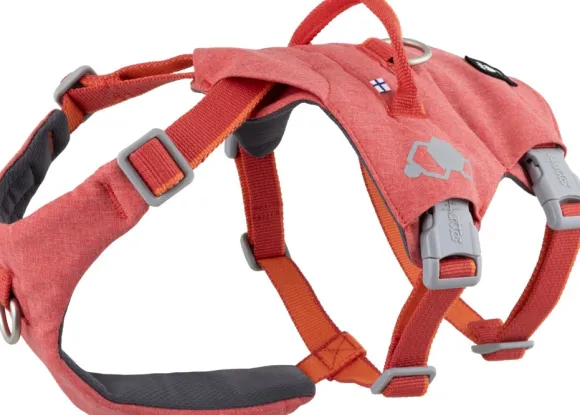 Hurtta Safeguard ECO Sele valjaat, 75-95cm, Strawberry