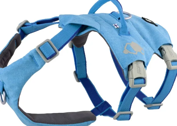 Hurtta Safeguard ECO Sele valjaat, 40-60cm, Ocean