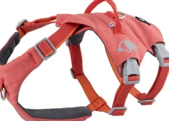 Hurtta Safeguard ECO Sele valjaat, 40-60cm, Strawberry