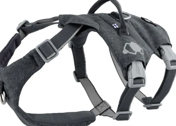 Hurtta Safeguard ECO Sele valjaat, 55-80cm, Blackberry