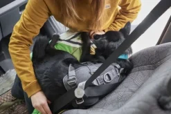 Hurtta Travel Harness ECO 5-10kg koirien matkavaljaat, Blackberry