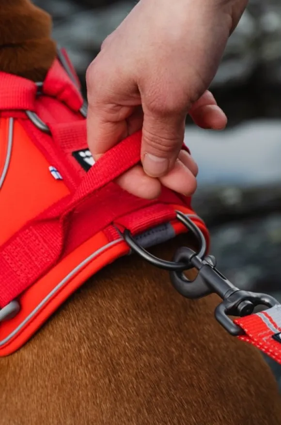 Hurtta Weekend Warrior Eco valjaat, vihreä 60-80 cm