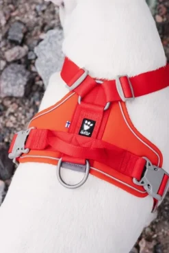 Hurtta Weekend Warrior Eco -valjaat, XL