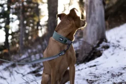 Hurtta Weekend Warrior Eco -panta, vihreä