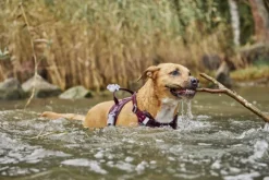 Hurtta Weekend Warrior II ECO Sele valjaat, 65-100cm, Raven