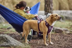 Hurtta Weekend Warrior II ECO Sele valjaat, 65-100cm, Eggplant