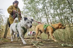 Hurtta Weekend Warrior II ECO Sele valjaat, 40-60cm, Parsley