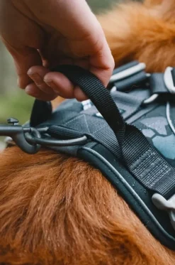 Hurtta Weekend Warrior -valjaat, musta 40-45 cm