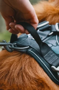 Hurtta Weekend Warrior -valjaat neonkeltainen 40-45 cm