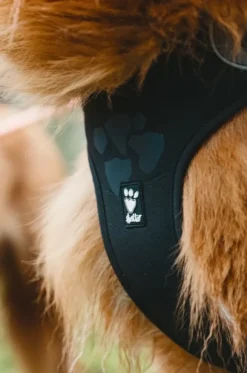 Hurtta Weekend Warrior -valjaat neonkeltainen 40-45 cm