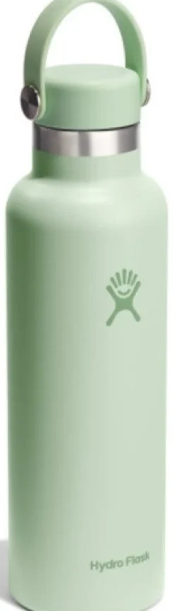 HydroFlask Standard 21oz (621ml) Solid Aloe