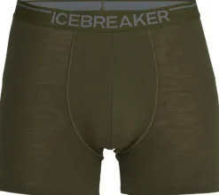 Icebreaker Anatomica merinovillabokserit, vihreä