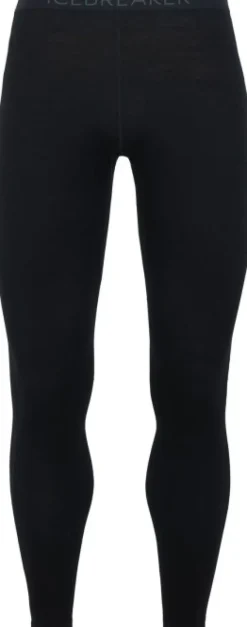 Icebreaker M's Tech Leggings 260 Black/Monsoon