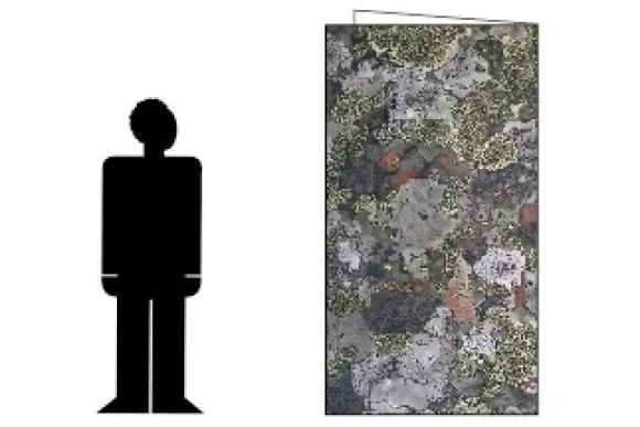 Jervenduken Hunter Forest