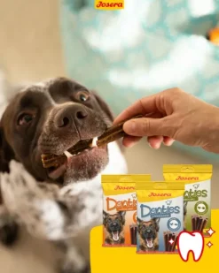 Josera Denties Poultry & Blueberry hammashoitoherkku, 180g