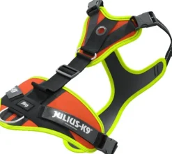 Julius K9 Mantrailing Sele valjaat, M-XL, oranssi