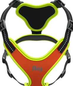 Julius K9 Mantrailing Sele valjaat, M-XL, oranssi