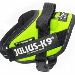 Julius-K9 IDC Mini-mini -valjaat (40-53 cm)