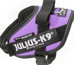 Julius-K9 IDC Mini-mini -valjaat (40-53 cm)