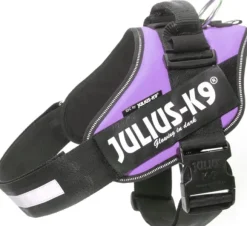 Julius-K9 IDC Power -valjaat (82-115 cm)