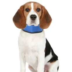 Karlie-viilennyspanta