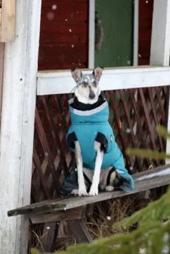 Kivalo Luosto Dog Winter Jacket koiran talvitakki, 55 cm, petrooli