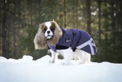 Kivalo Luosto Dog Winter Jacket koiran talvitakki, 60 cm, harmaa