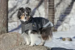 Kivalo Niva Dog Raincoat koiran sadetakki, 40 cm, harmaa