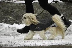 Kivalo Niva Dog Raincoat koiran sadetakki, 40 cm, harmaa