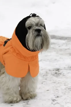Kivalo Ohto Dog Wind Jacket koiran tuulitakki, 35 cm, oranssi