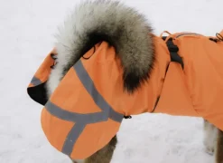 Kivalo Ohto Dog Wind Jacket koiran tuulitakki, 35 cm, oranssi