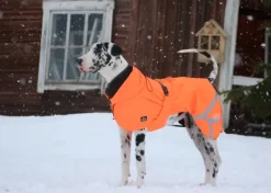 Kivalo Ohto Dog Wind Jacket koiran tuulitakki, 60 cm, oranssi