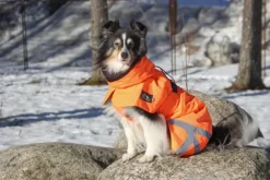 Kivalo Ohto Dog Wind Jacket koiran tuulitakki, 50 cm, oranssi