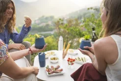 Klean Kanteen Rise Wine Tumbler muki, 296ml, Tofu