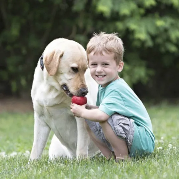 Kong Classic koiranlelu, L, punainen