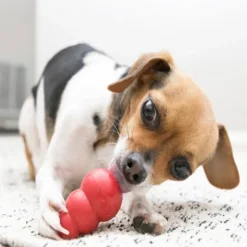 Kong Classic koiranlelu, XL, punainen