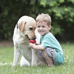 Kong Classic koiranlelu, XL, punainen