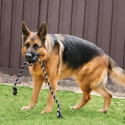 Kong Extreme Ball koiranlelu, L