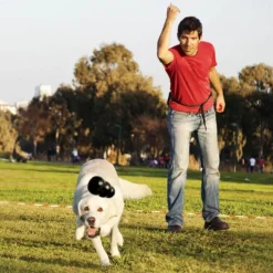 Kong Extreme koiran lelu, Large