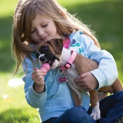 Kong Puppy koiranpennun lelu, S, Mix