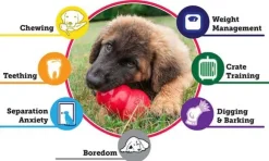 Kong Puppy koiranpennun lelu, L, Mix