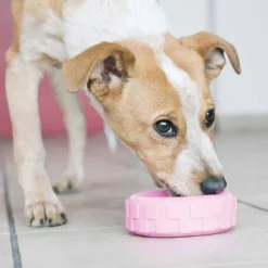 Kong Puppy Tyres purulelu pennuille, M/L